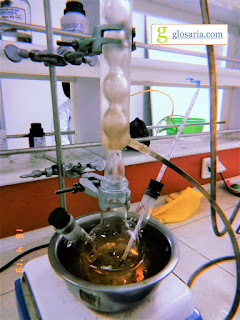 Sintesis Etil Asetat